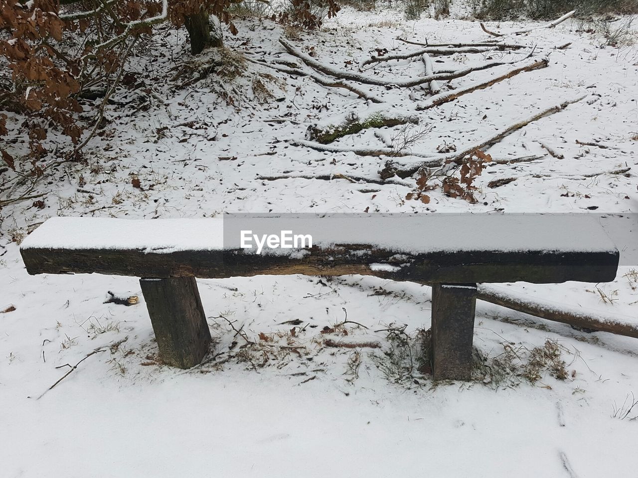 Snow covered landscape