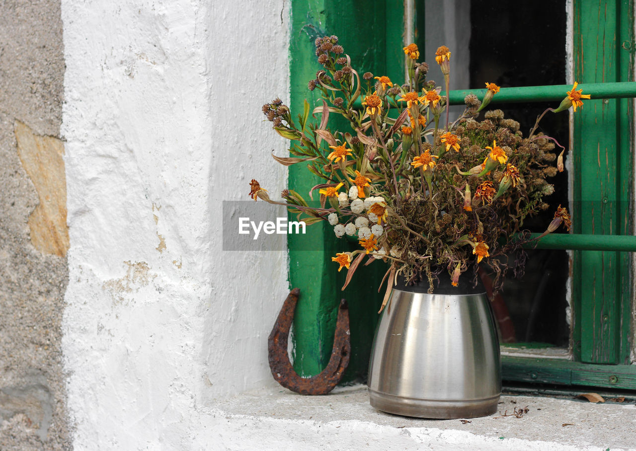 CLOSE-UP OF POTTED PLANT