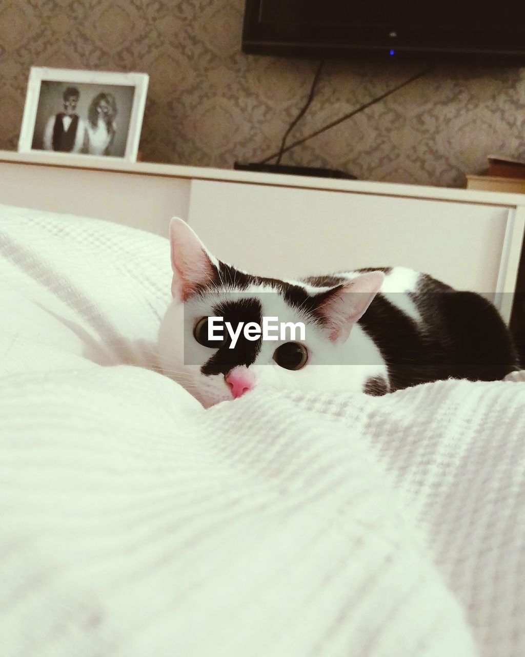 Portrait of cute of lying on bed at home