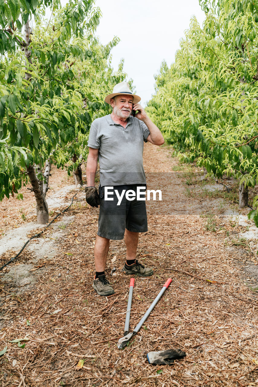 Full length senior man in casual clothes and hat standing near shears on path amidst fruit trees and talking on cellphone during work on farm on summer day