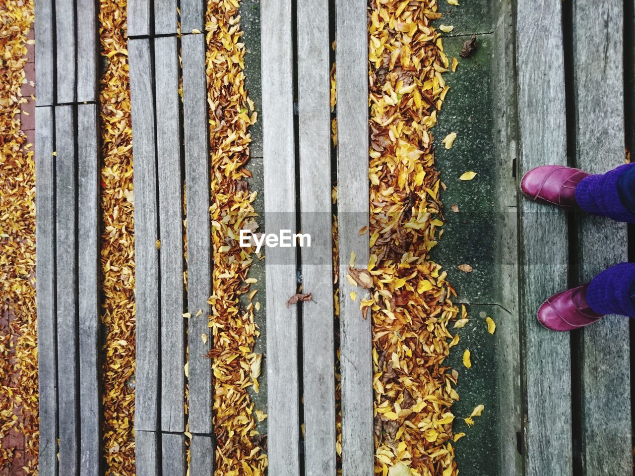 Low section of woman standing on wooden steps during autumn