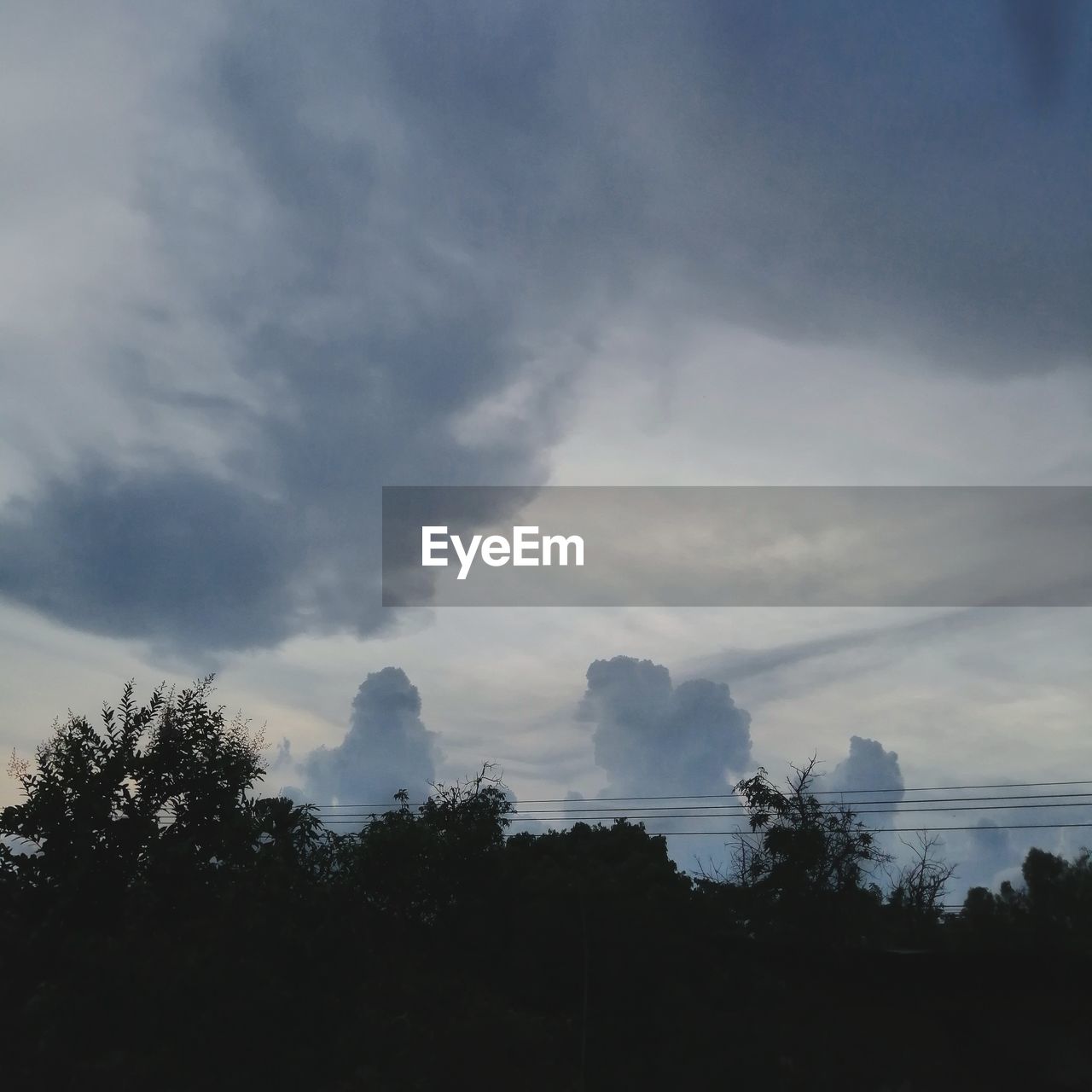 SILHOUETTE OF TREES AGAINST CLOUDY SKY
