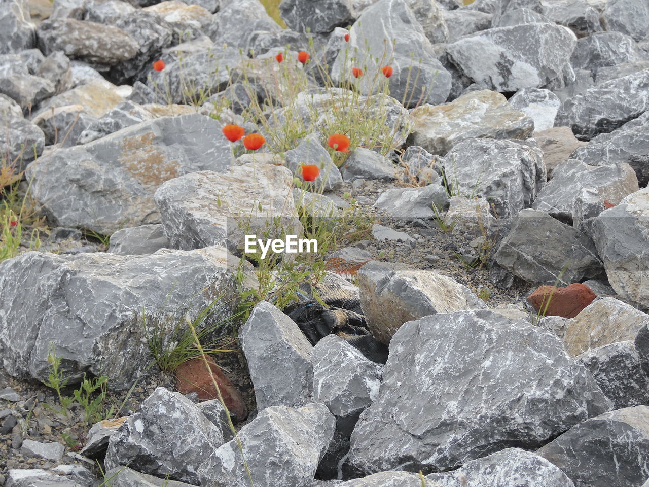 CLOSE UP OF ROCKS