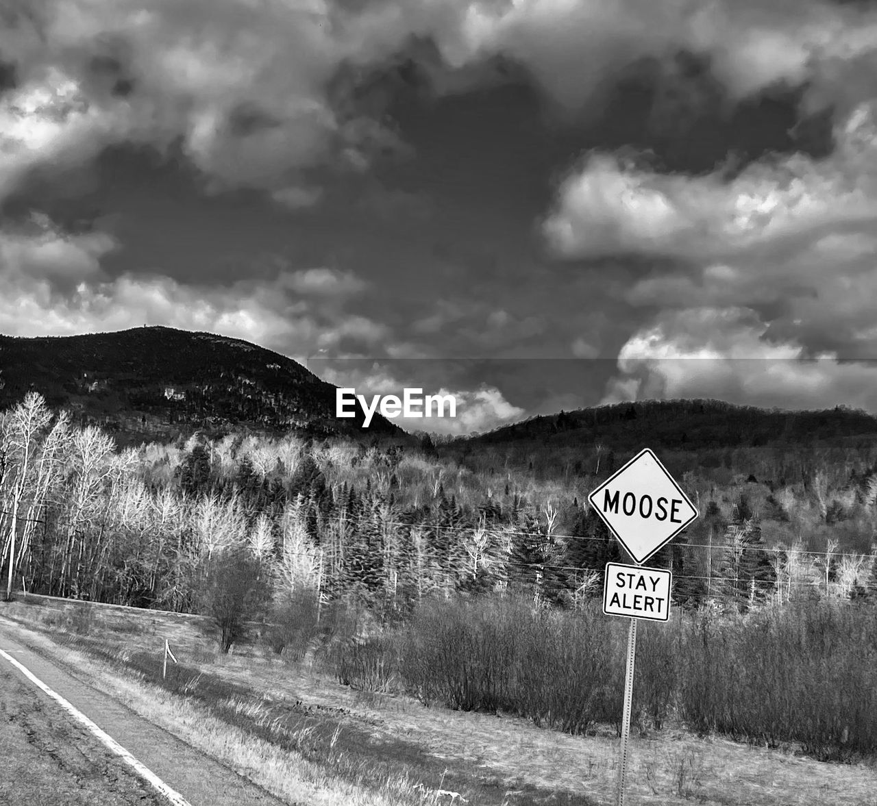 sign, road, communication, road sign, black and white, cloud, sky, monochrome photography, guidance, transportation, warning sign, monochrome, text, western script, no people, nature, symbol, plant, rural area, information sign, landscape, mountain, tree, day, environment, infrastructure, stop sign, arrow symbol, scenics - nature, land, non-urban scene, outdoors, speed limit sign, highway, directional sign, traffic arrow sign, the way forward, tranquil scene, beauty in nature