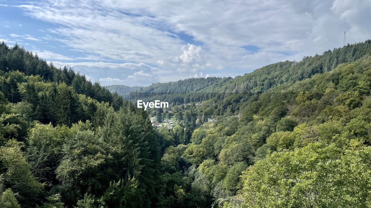 SCENIC VIEW OF FOREST AND MOUNTAINS AGAINST SKY