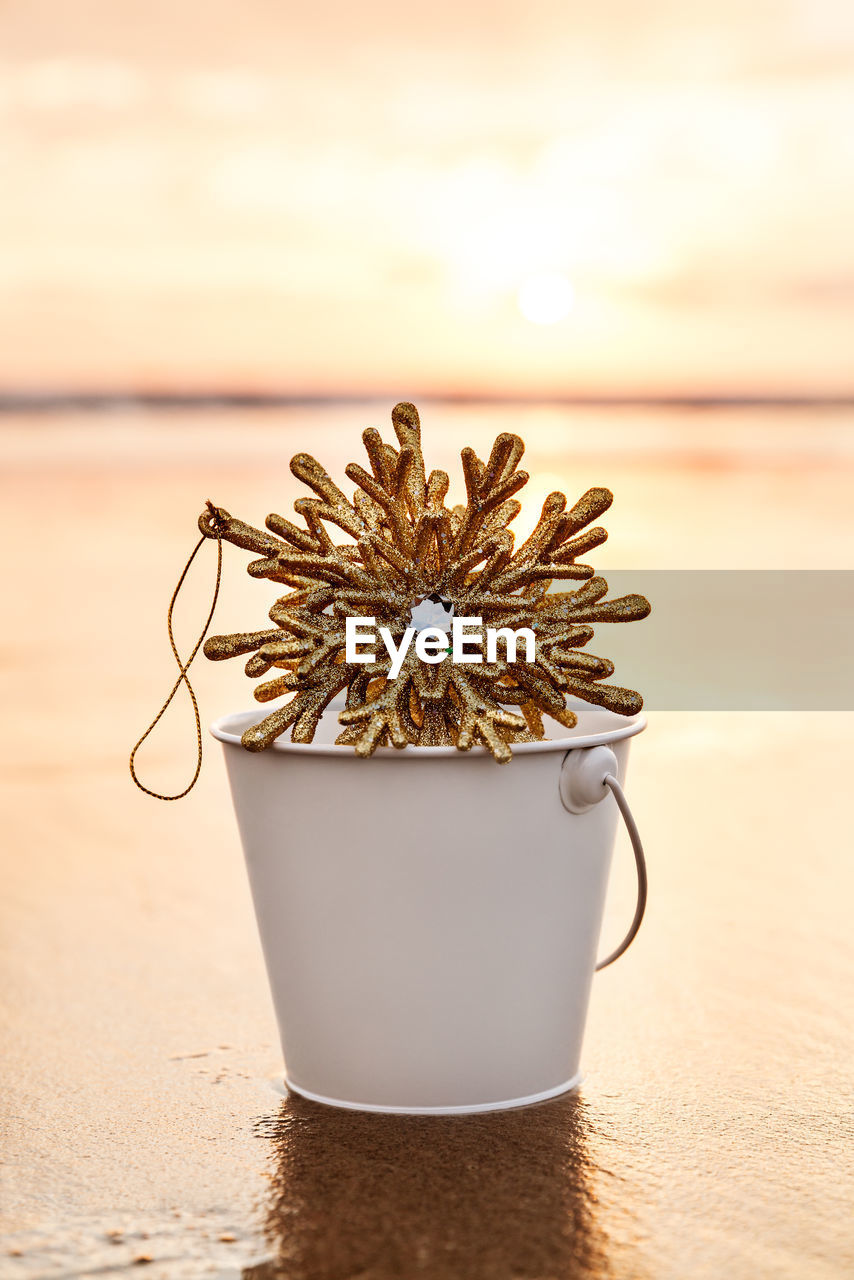 Decoration in bucket on shore at beach