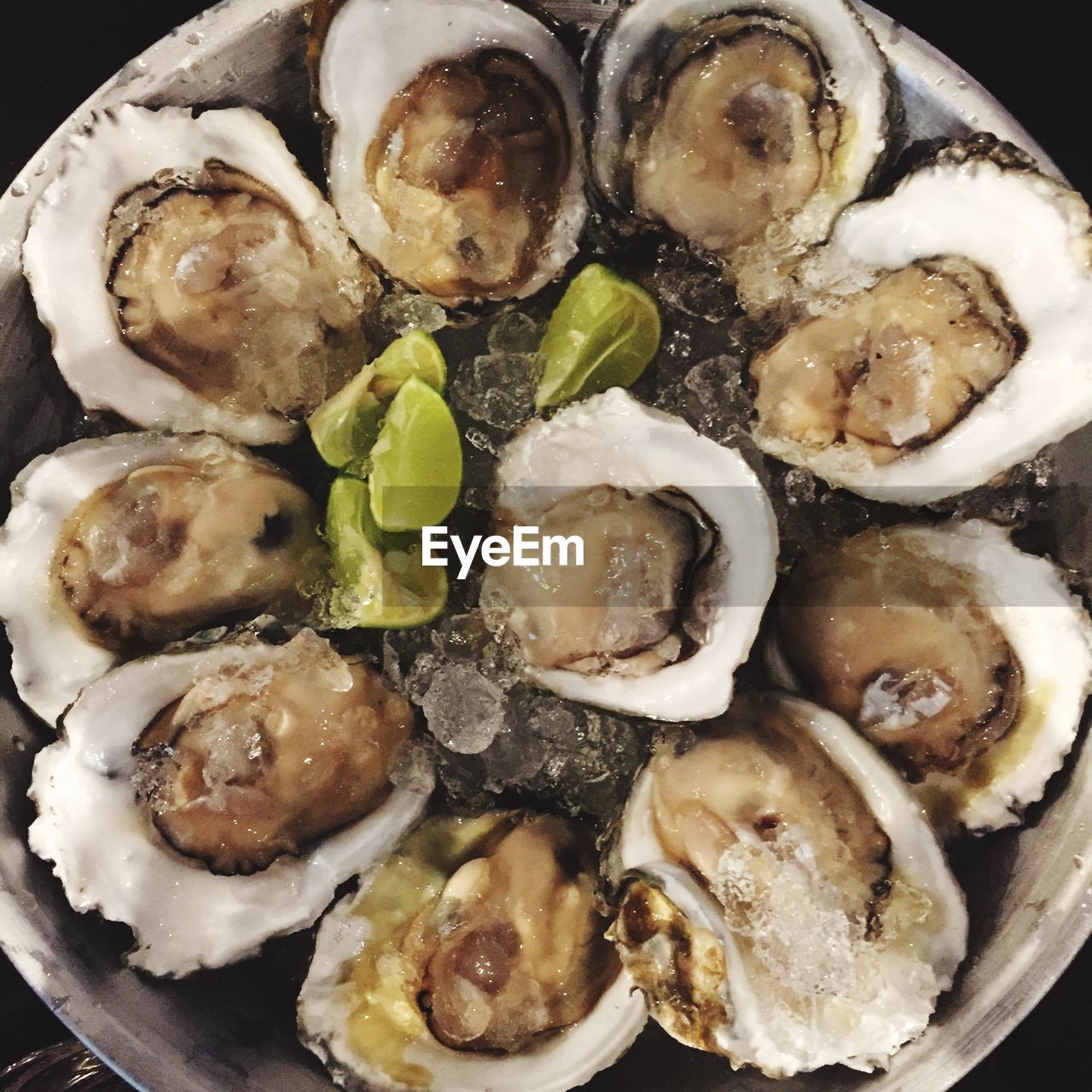 High angle view of oysters served in plate