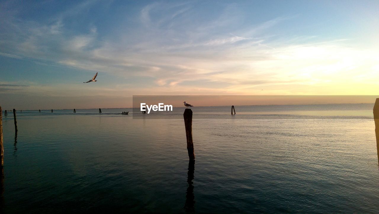 SCENIC VIEW OF SEA DURING SUNSET