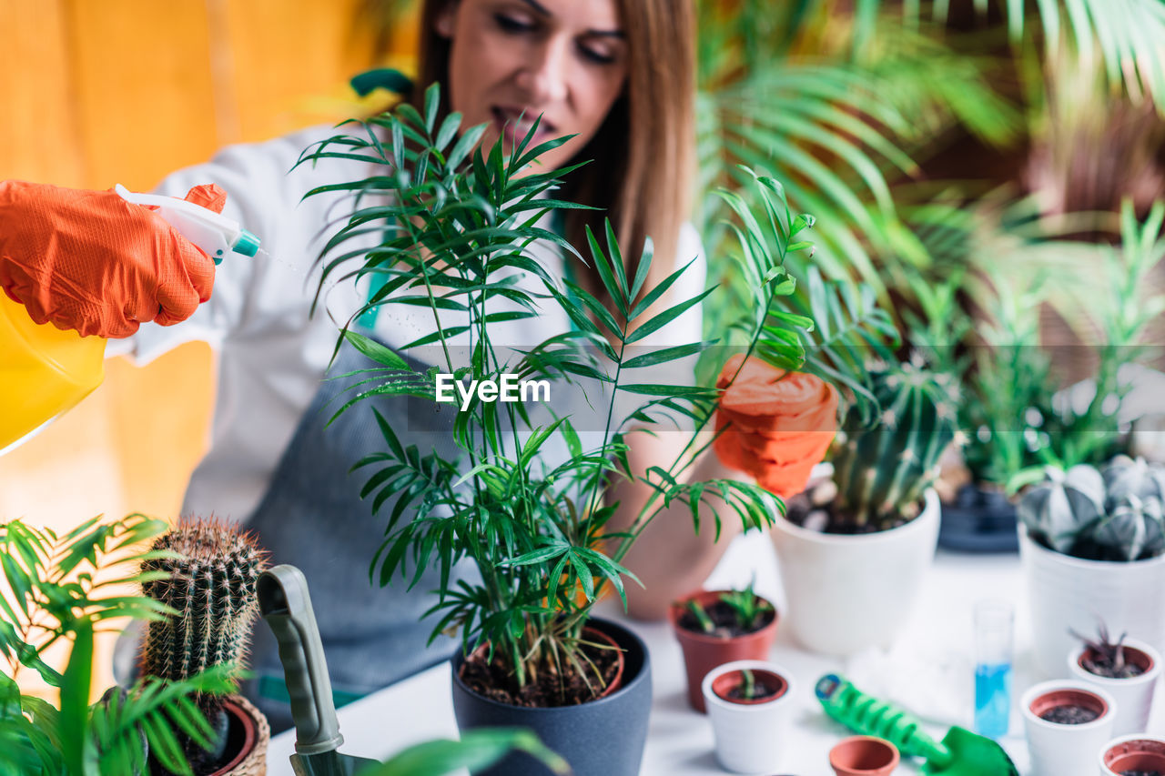 Woman spraying potted plants on the table