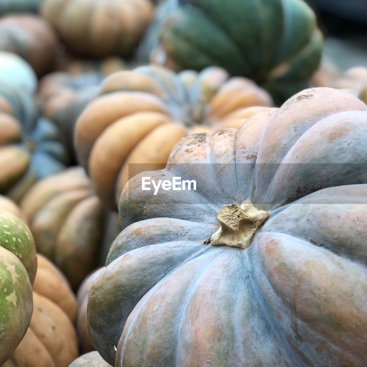 FULL FRAME SHOT OF PUMPKINS