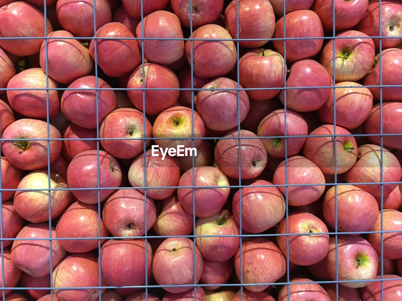 Close-up of red apples in rack