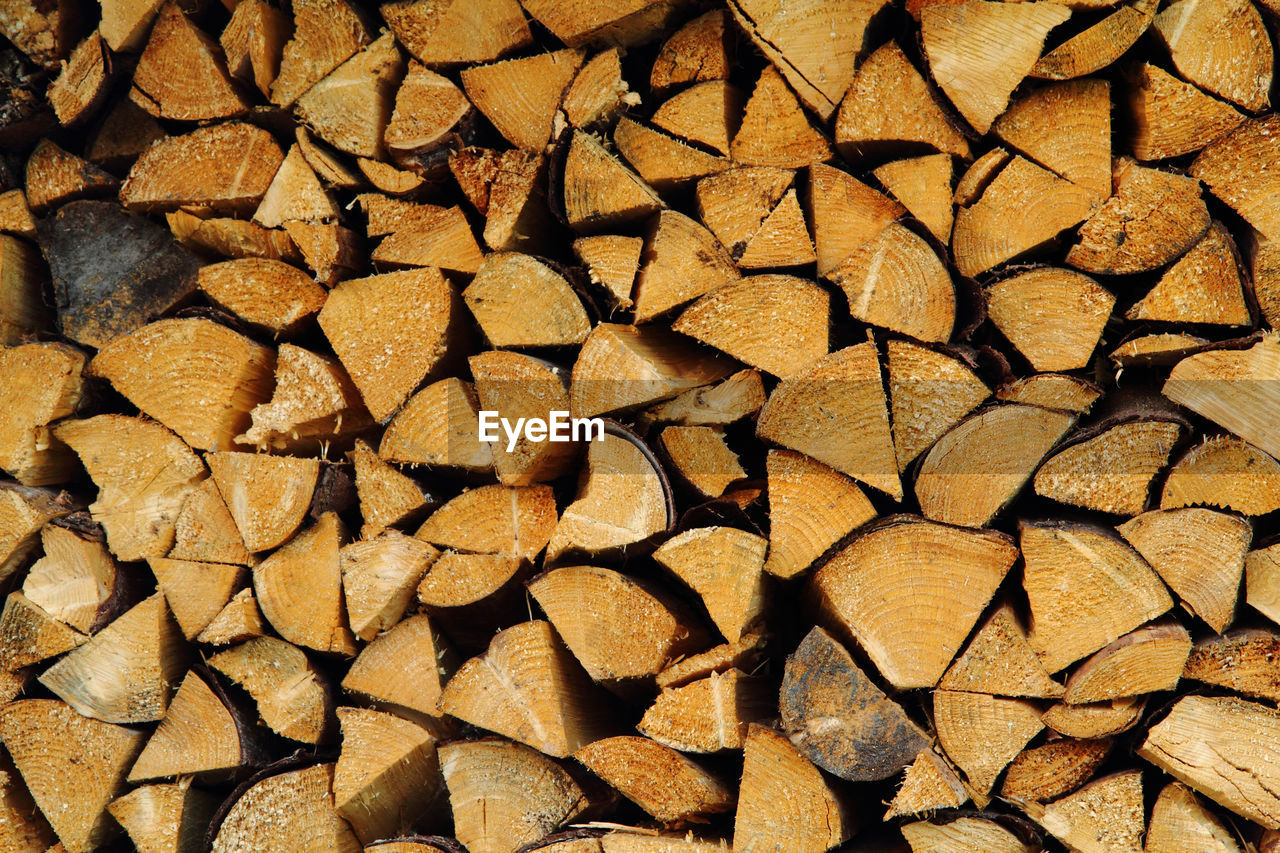 FULL FRAME SHOT OF FIREWOOD IN FOREST