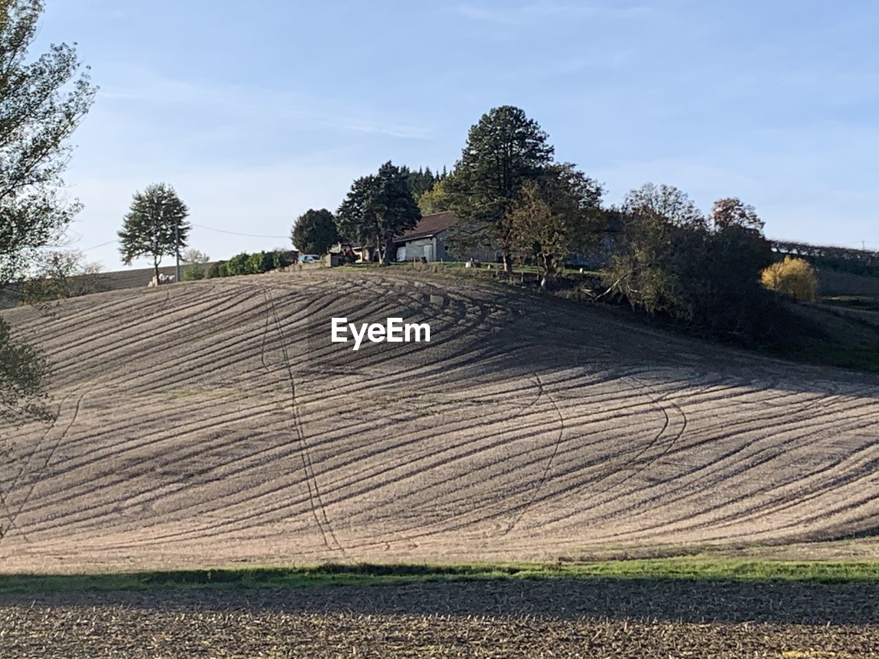 Scenic view of agricultural field against sky