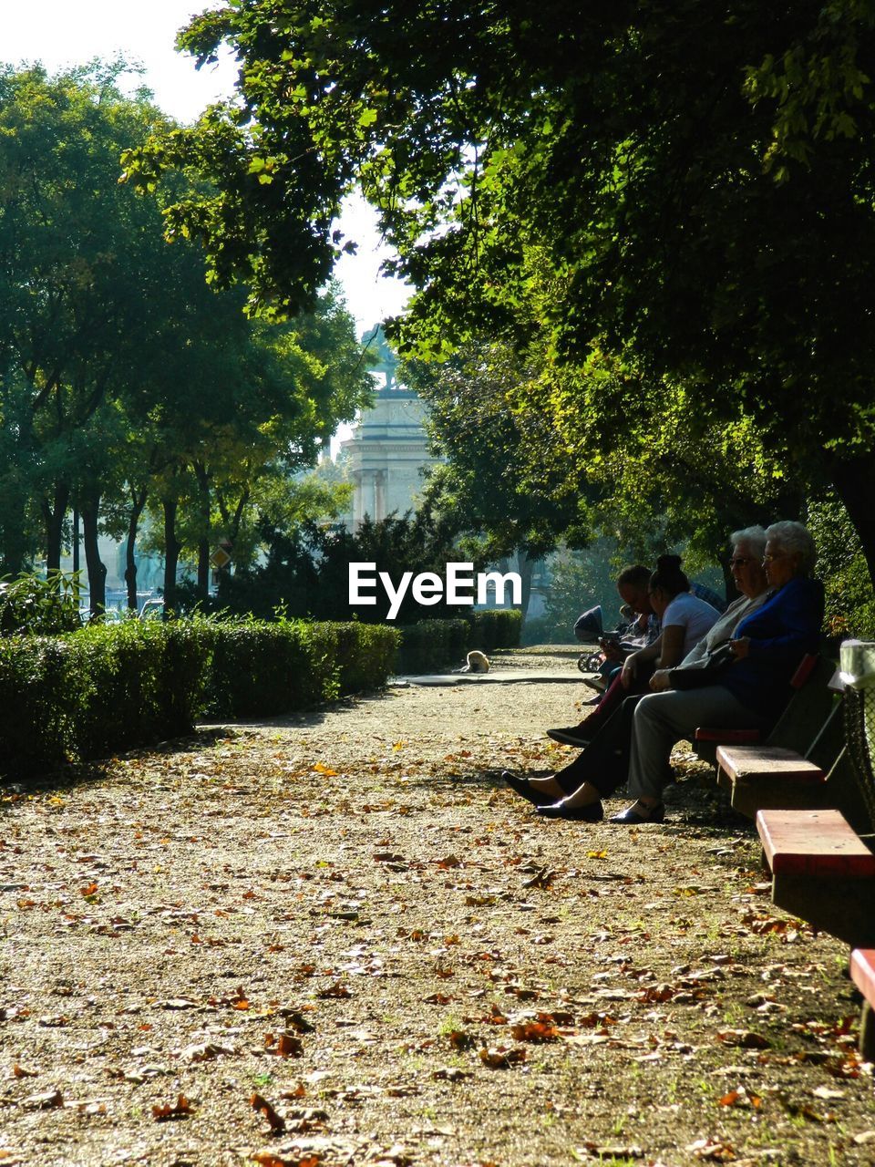 WOMAN SITTING ON TREE