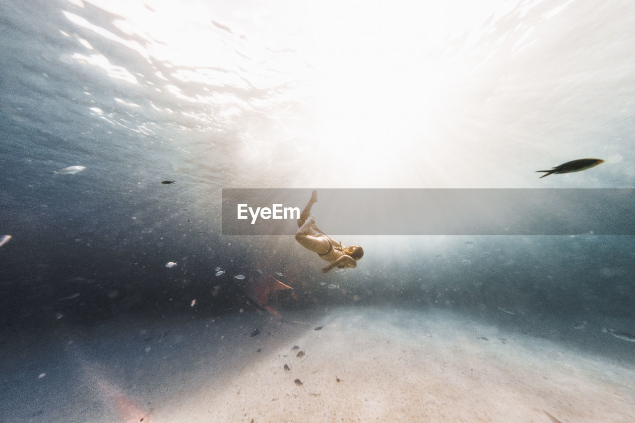 Underwater photography, woman swimming in the mediterranean sea.