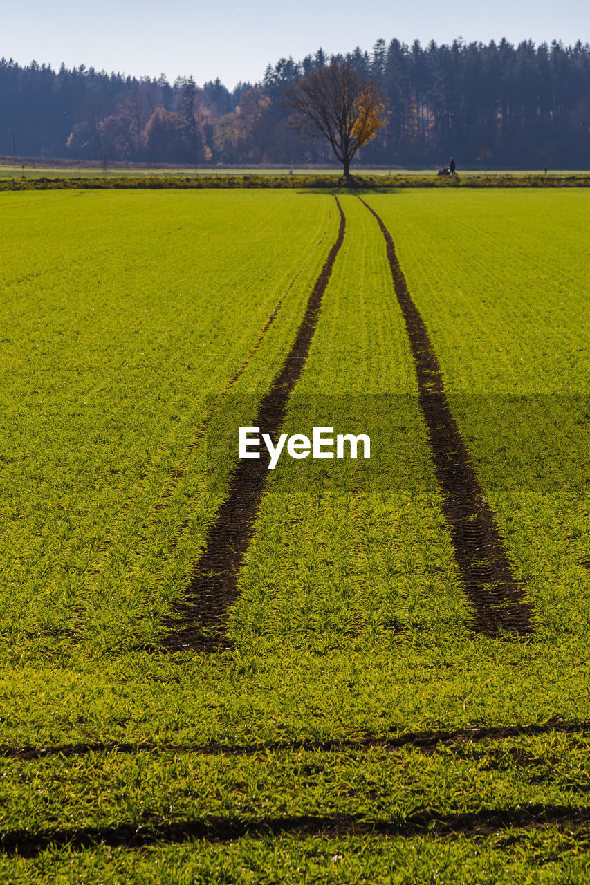 Scenic view of agricultural field