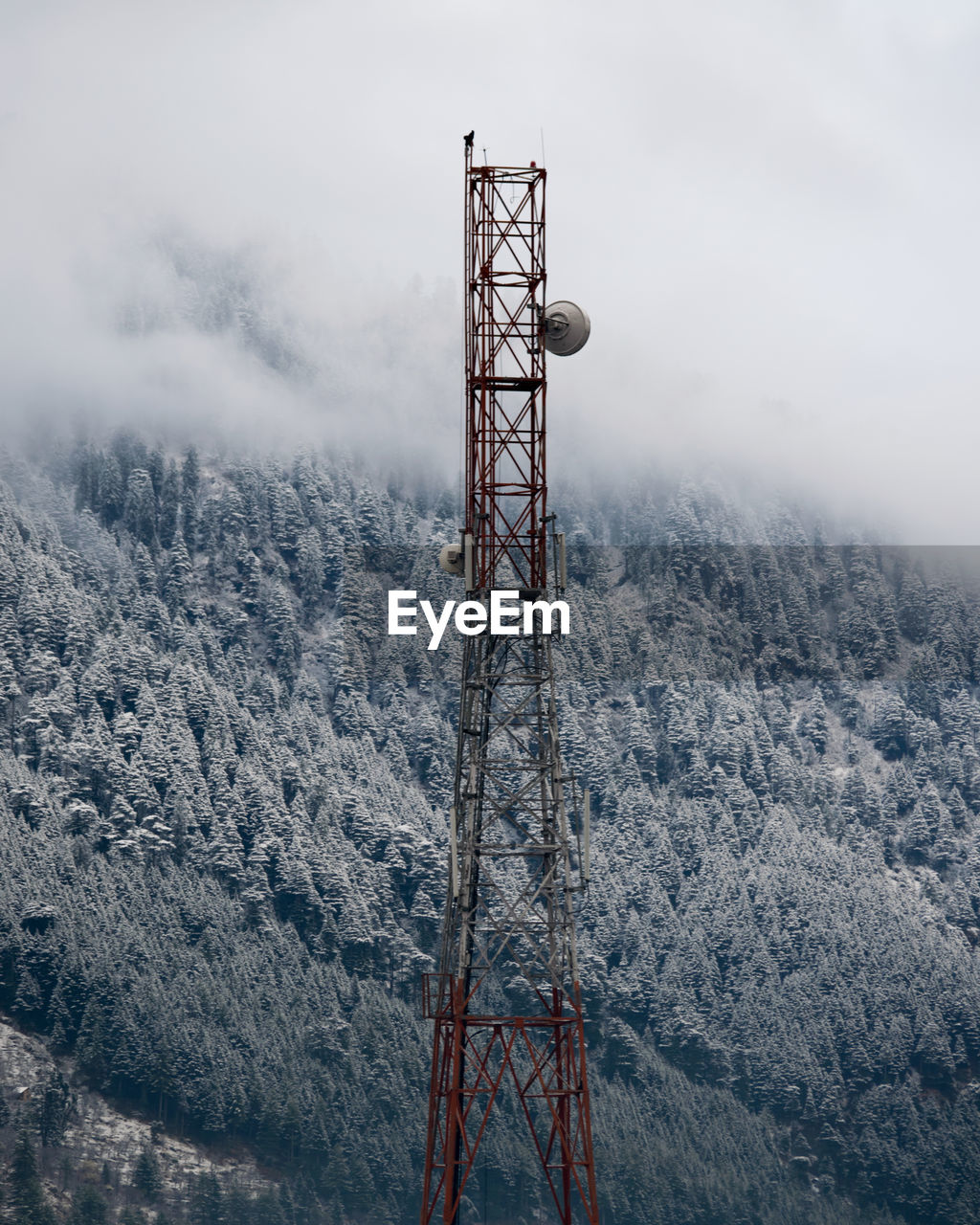 COMMUNICATIONS TOWER IN WINTER