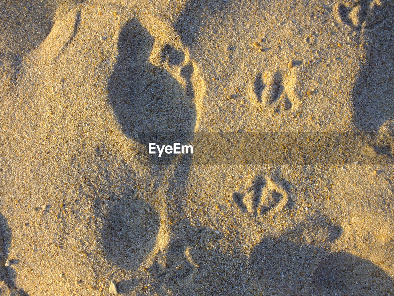 High angle view of footprints on sandy beach