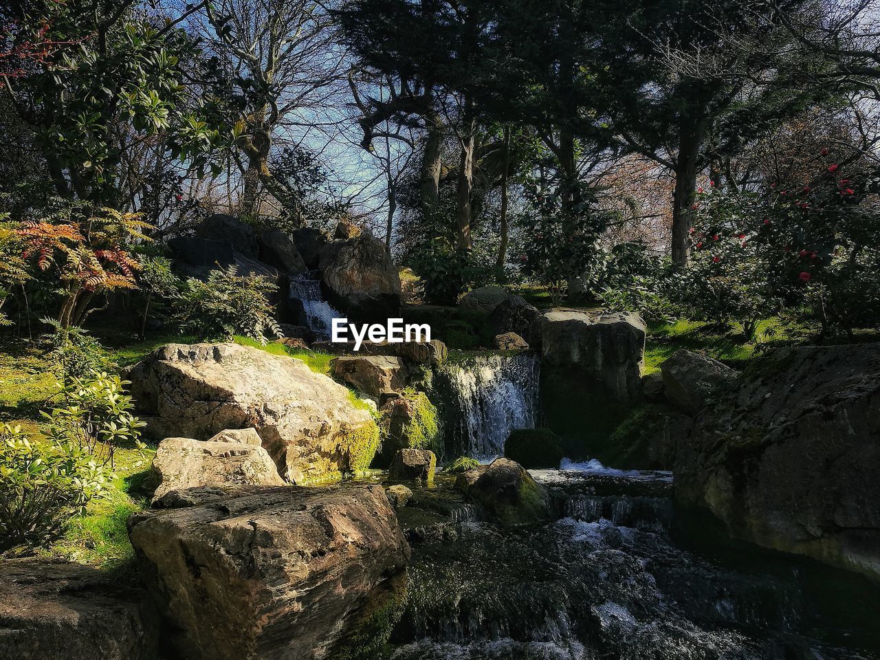 SCENIC VIEW OF WATERFALL