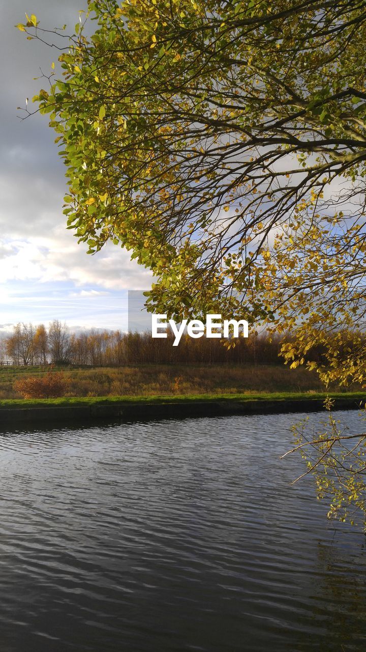 SCENIC VIEW OF LAKE AGAINST TREES