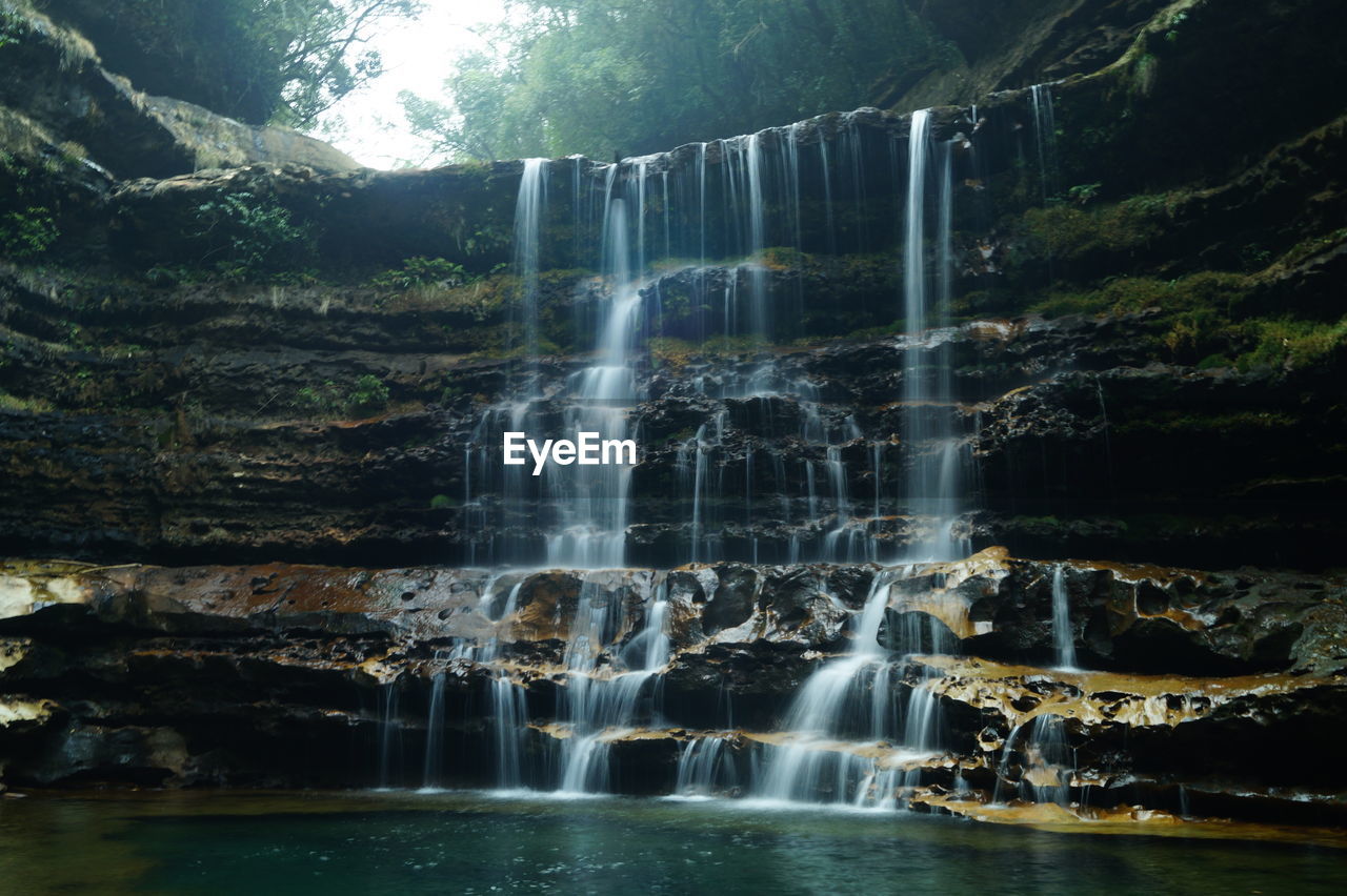 VIEW OF WATERFALL IN FOREST