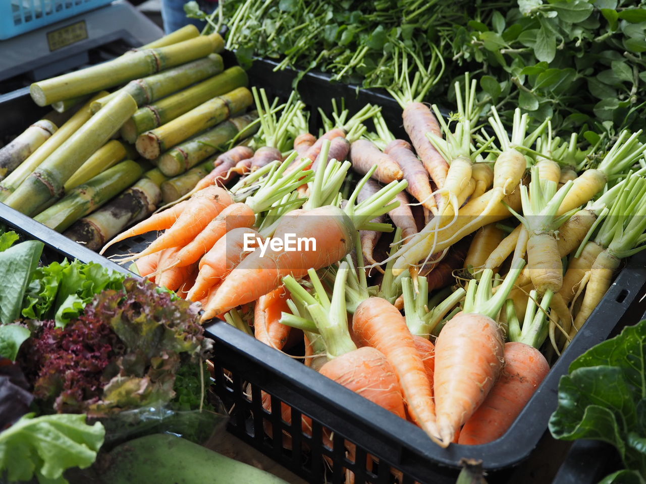 Close-up of vegetables at market
