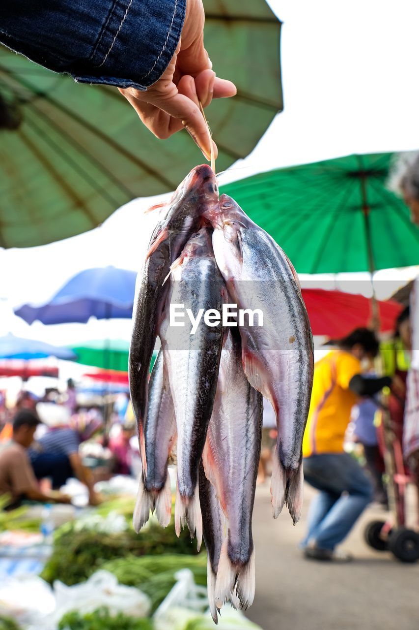Fish in market stall