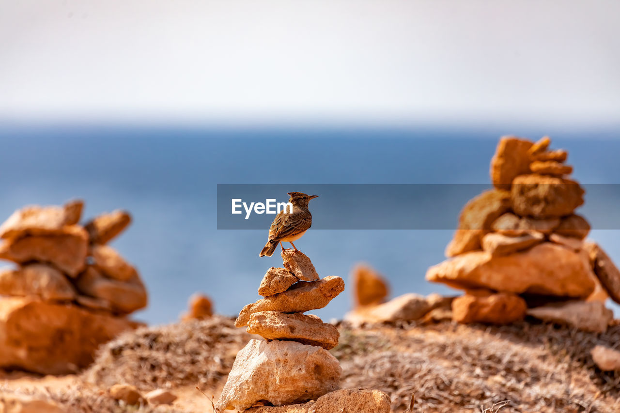 STACK OF ROCKS ON SHORE AGAINST SKY