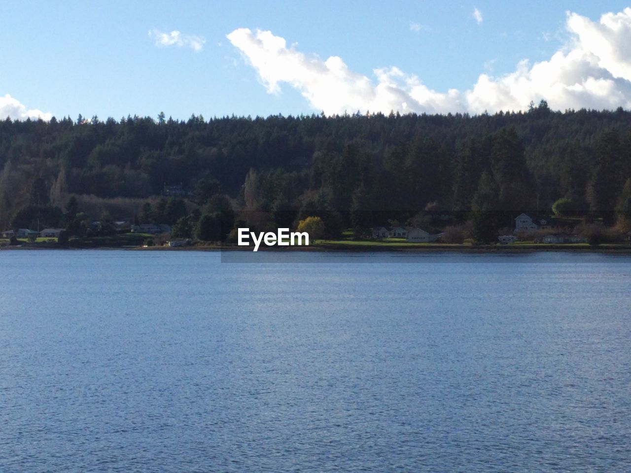 SCENIC VIEW OF LAKE AGAINST TREES