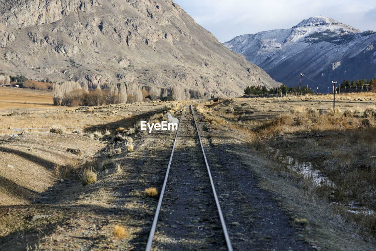 Railroad track passing through forest