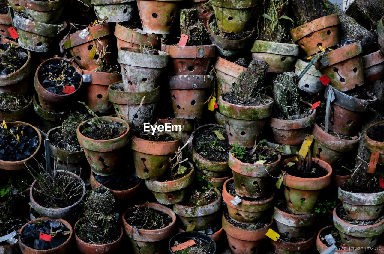 Full frame shot of damaged potted plants