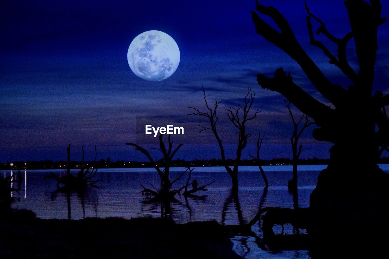 SCENIC VIEW OF SILHOUETTE TREES AGAINST MOON AT NIGHT