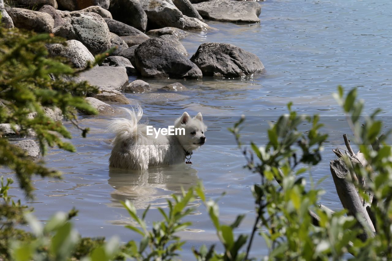 VIEW OF LAKE