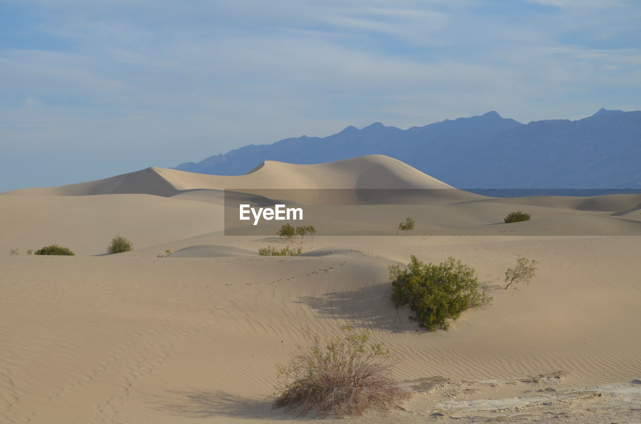 Scenic view of desert against sky