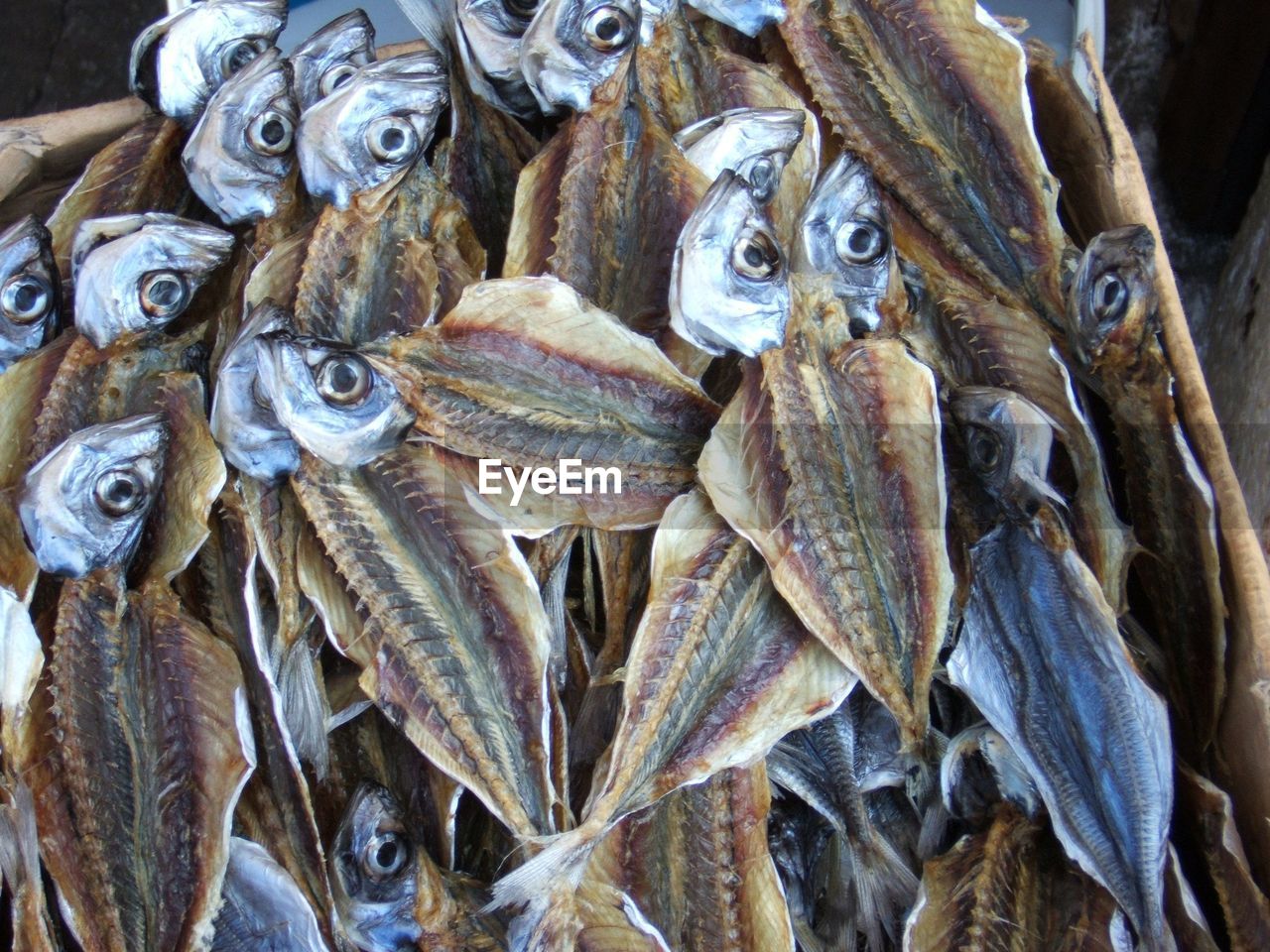 Close-up of fish for sale in market