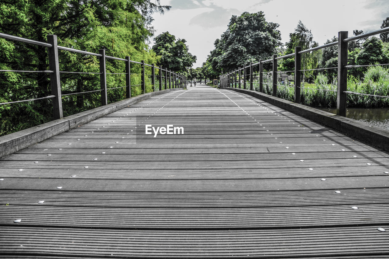 FOOTBRIDGE LEADING TOWARDS TREES