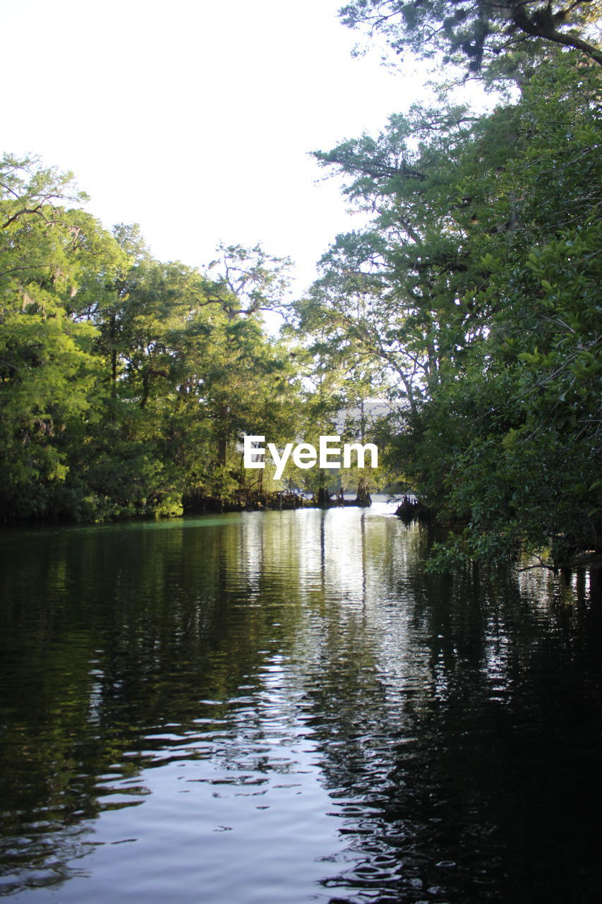 LAKE BY TREES AGAINST SKY