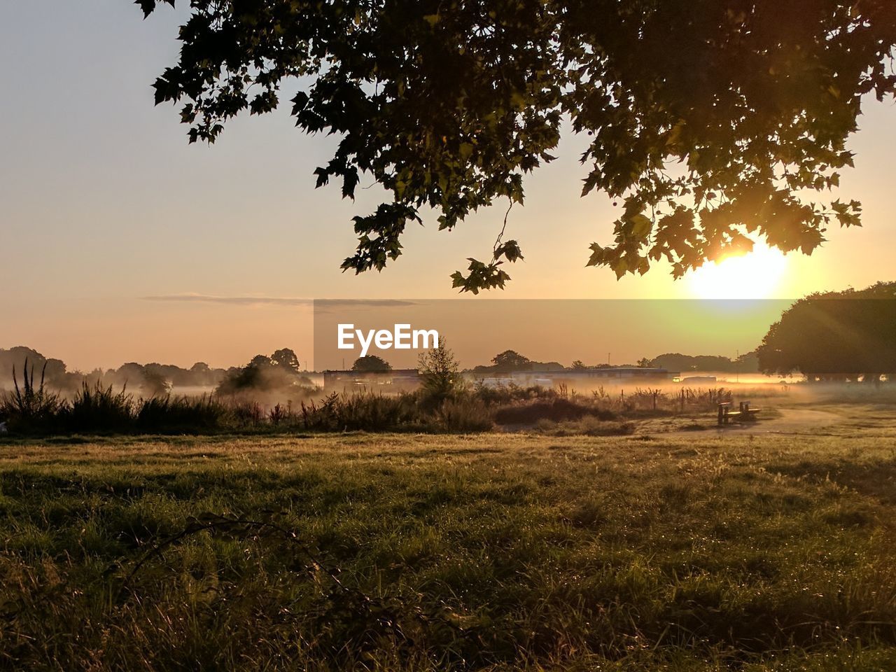 Scenic view of field against sky during sunset