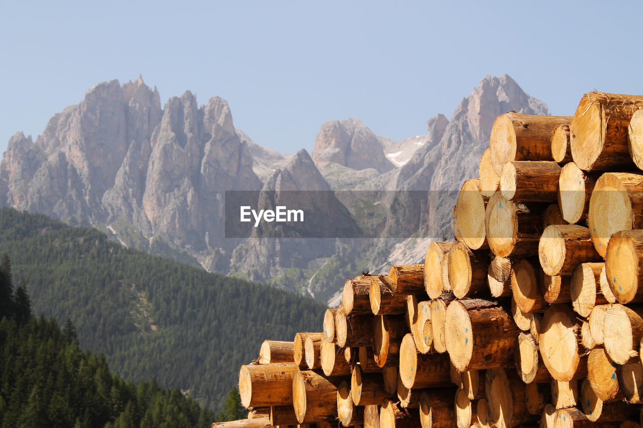 Pile of firewood against mountains