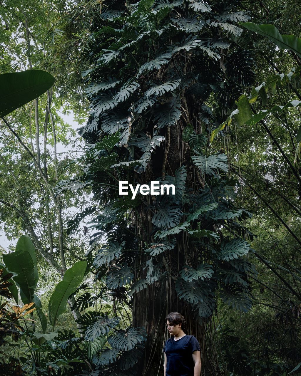 Man looking away while standing against tree trunk