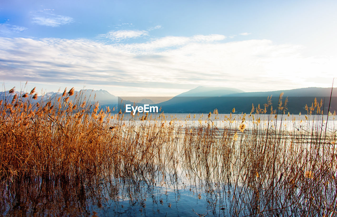 Scenic view of lake against sky