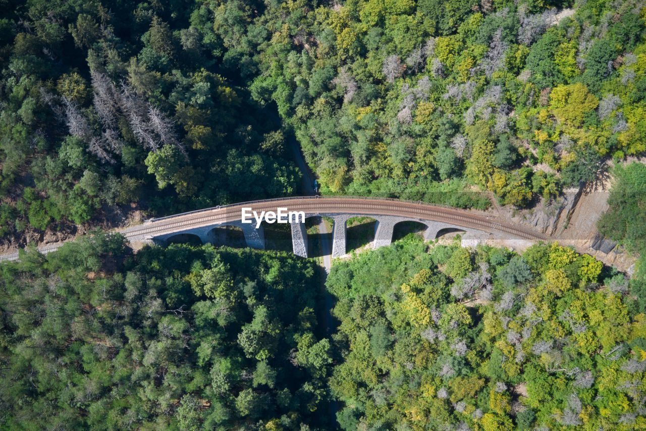High angle view of bridge and trees in forest
