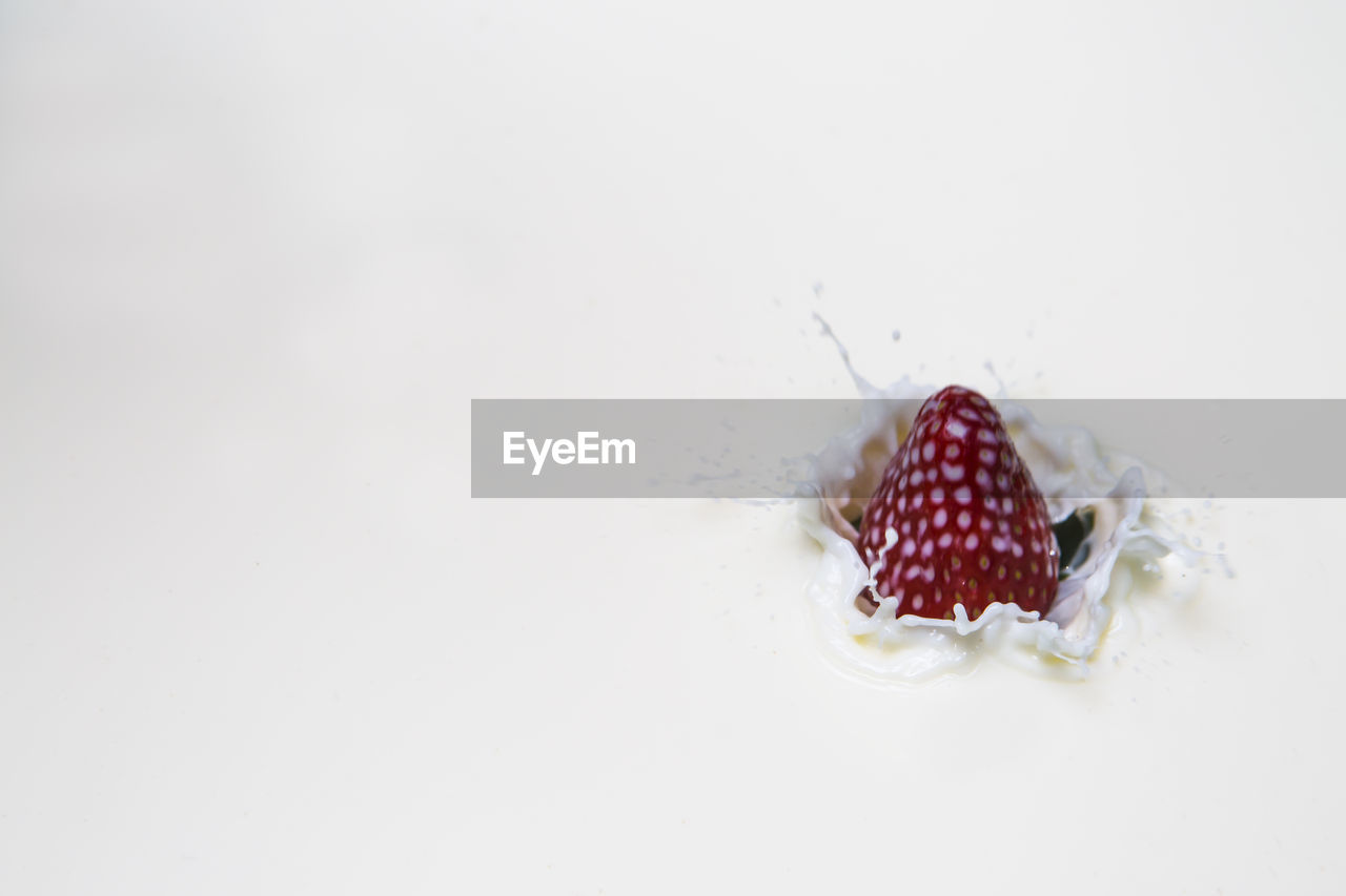 Close-up of strawberry in milk