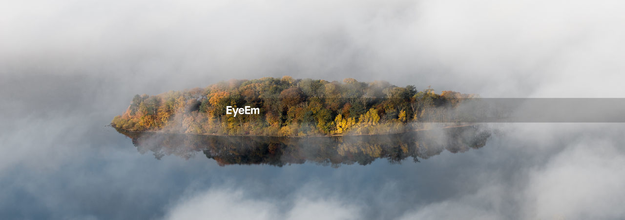 PANORAMIC VIEW OF TREES AGAINST SKY