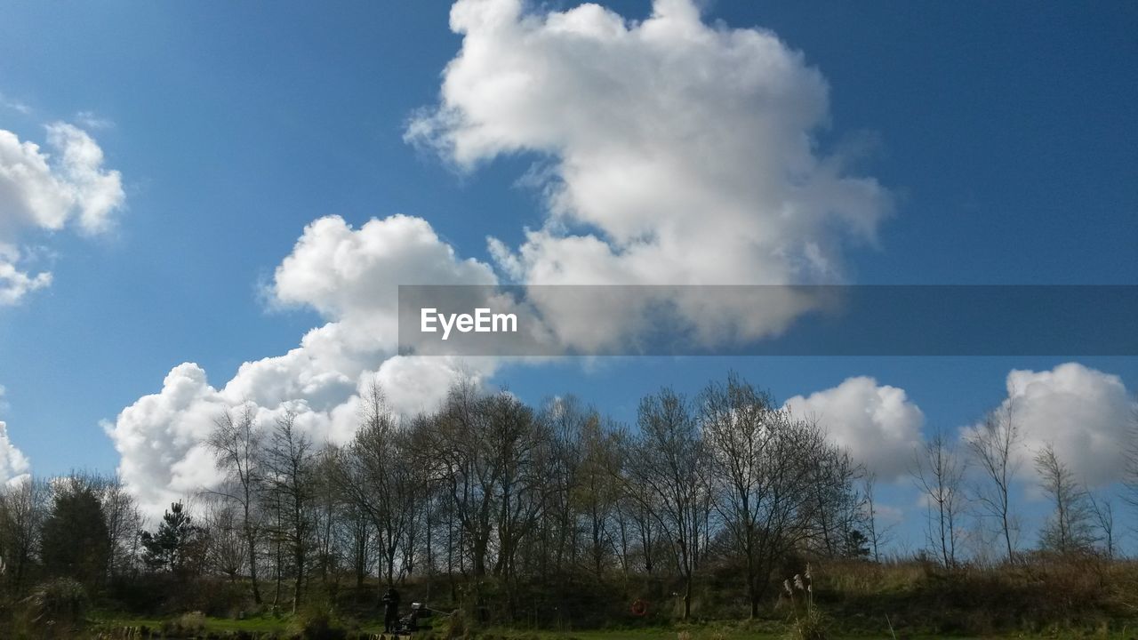 TREES ON FIELD AGAINST CLOUDY SKY