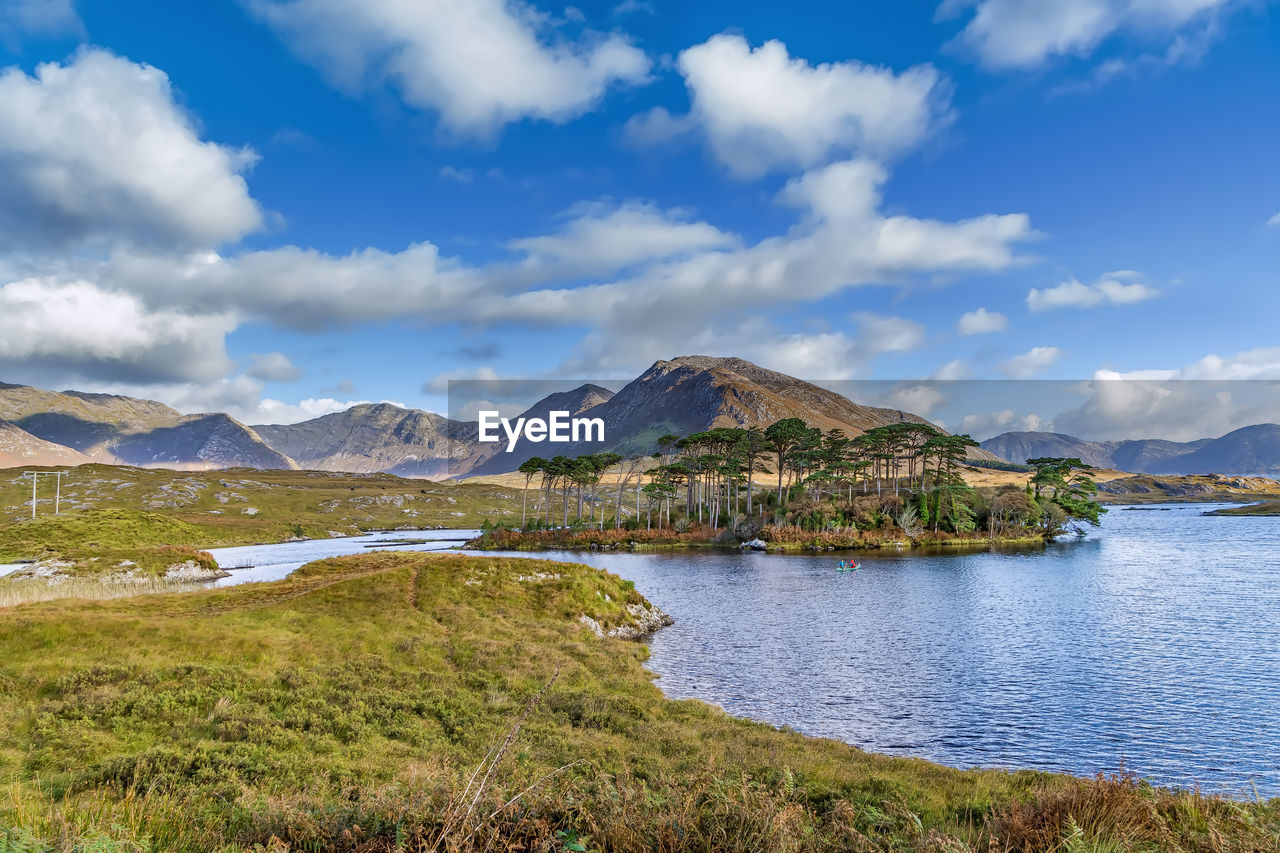 Landscape with lake from pines island viewpoint in galway county, ireland