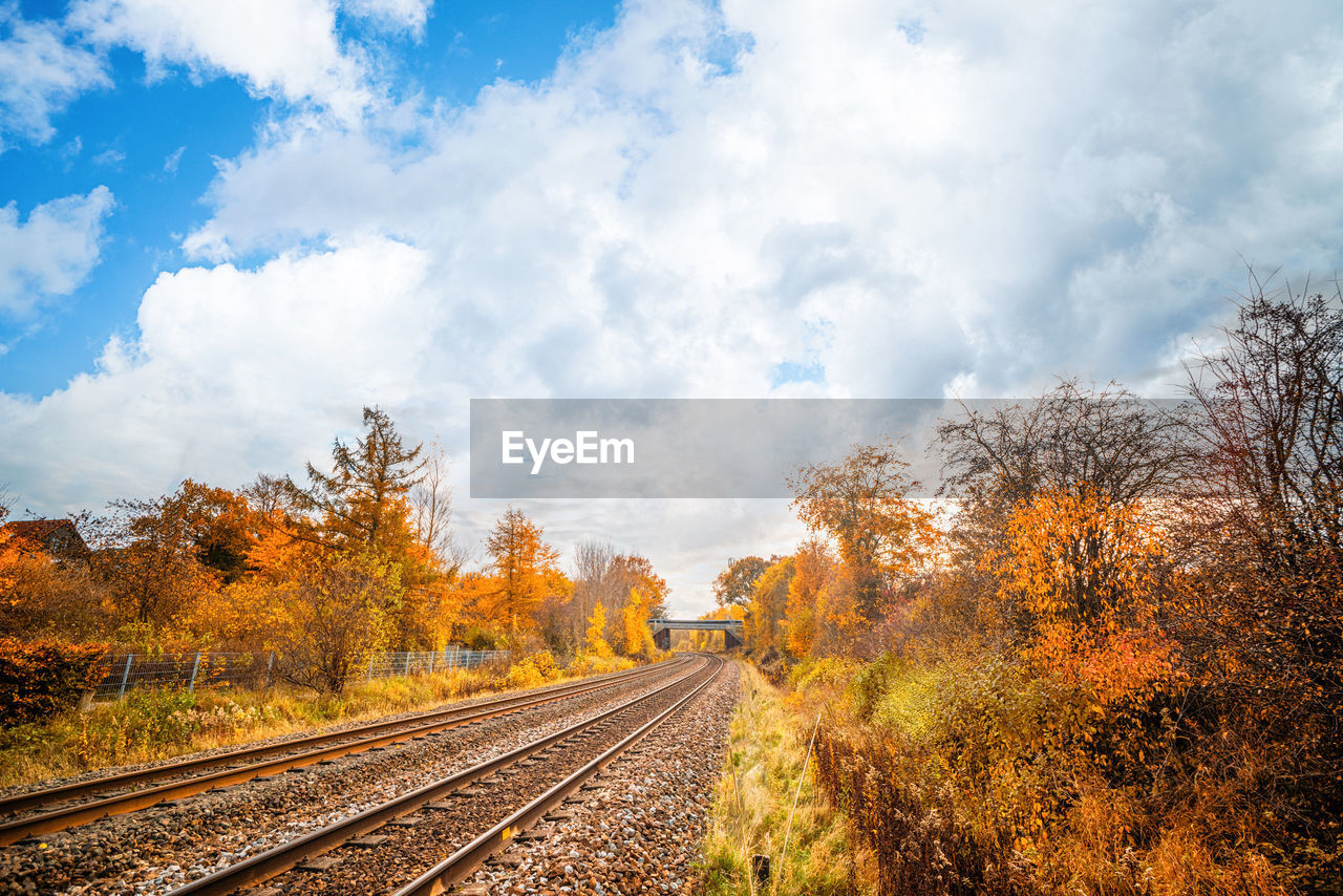 RAILROAD TRACKS BY TREES AGAINST SKY DURING AUTUMN