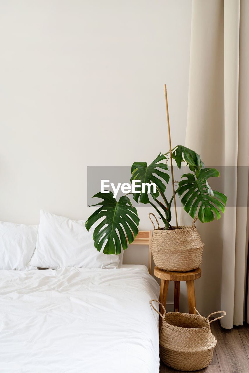 Space at home with bed, monstera and laundry baskets