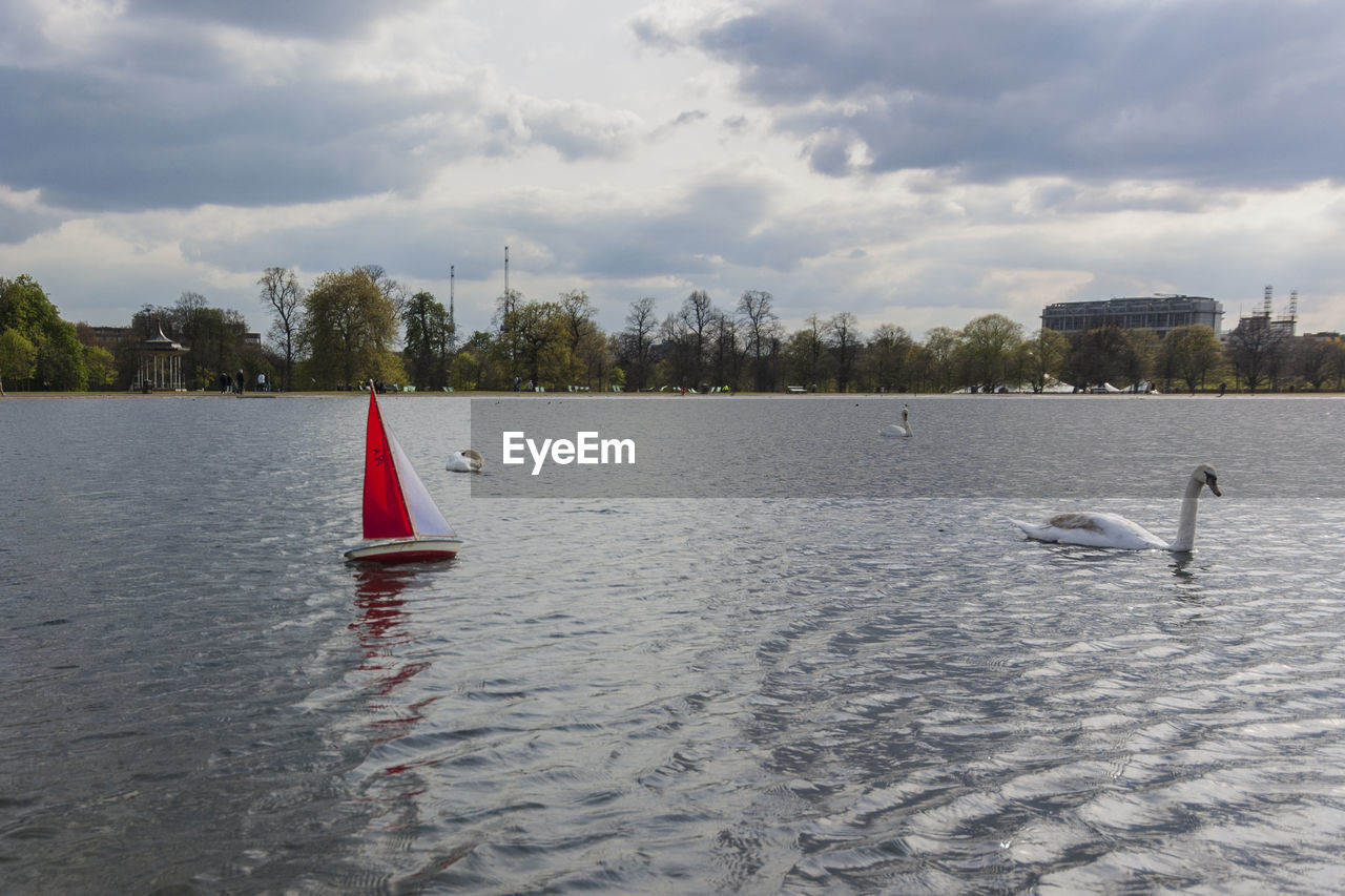 VIEW OF SWAN IN WATER AGAINST SKY