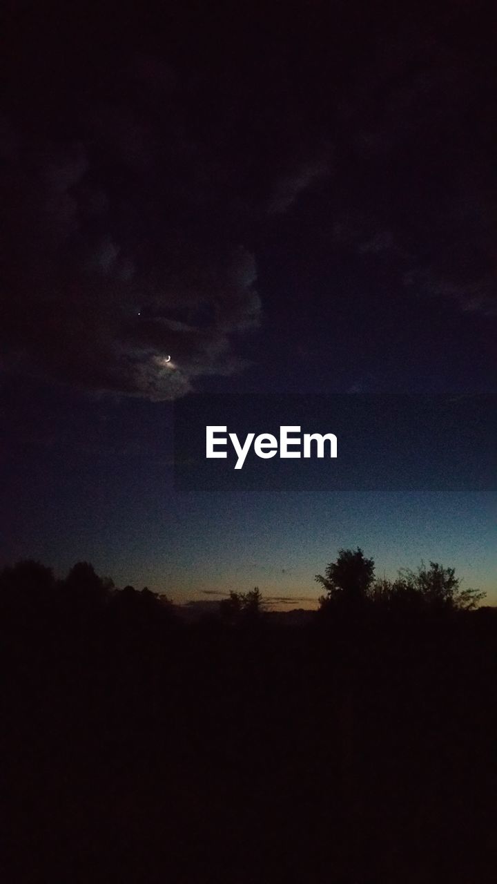 LOW ANGLE VIEW OF TREES AGAINST SKY